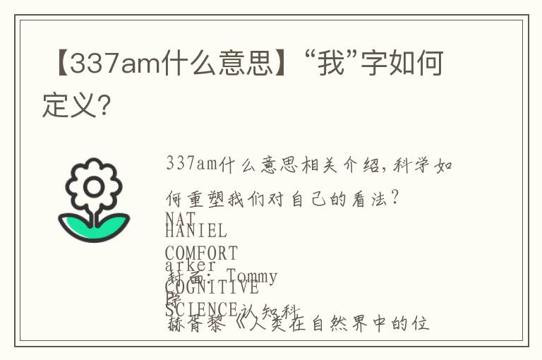 【337am什么意思】“我”字如何定义？文章配图