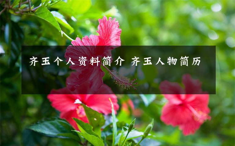 齐玉个人资料简介 齐玉人物简历文章配图
