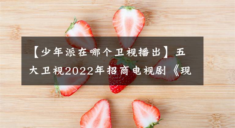 【少年派在哪个卫视播出】五大卫视2022年招商电视剧《现金率》预测