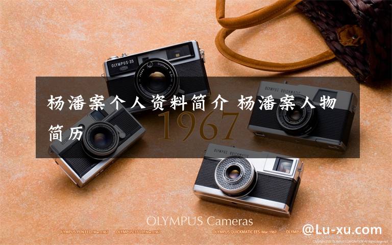 杨潘案个人资料简介 杨潘案人物简历文章配图