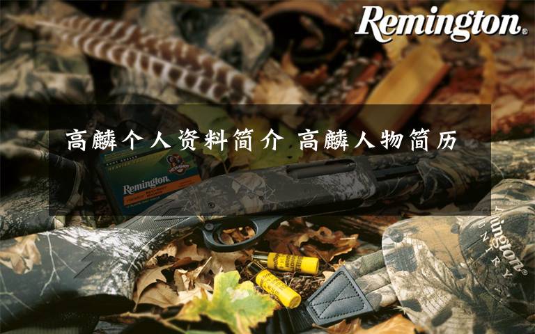 高麟个人资料简介 高麟人物简历文章配图