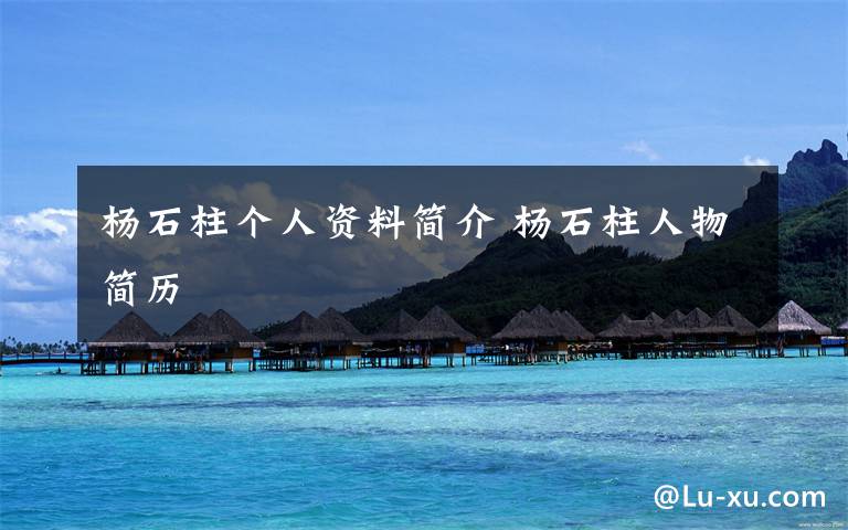 杨石柱个人资料简介 杨石柱人物简历文章配图