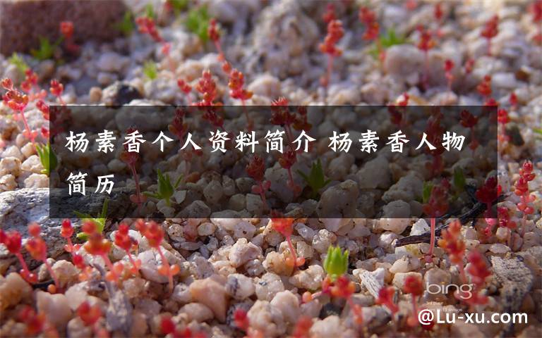 杨素香个人资料简介 杨素香人物简历文章配图