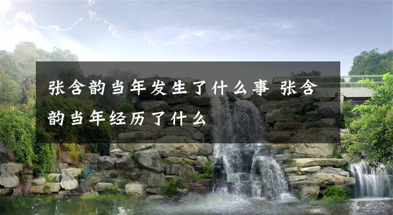 张含韵当年发生了什么事 张含韵当年经历了什么文章配图