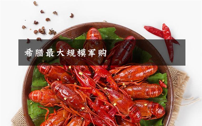 希腊最大规模军购文章配图