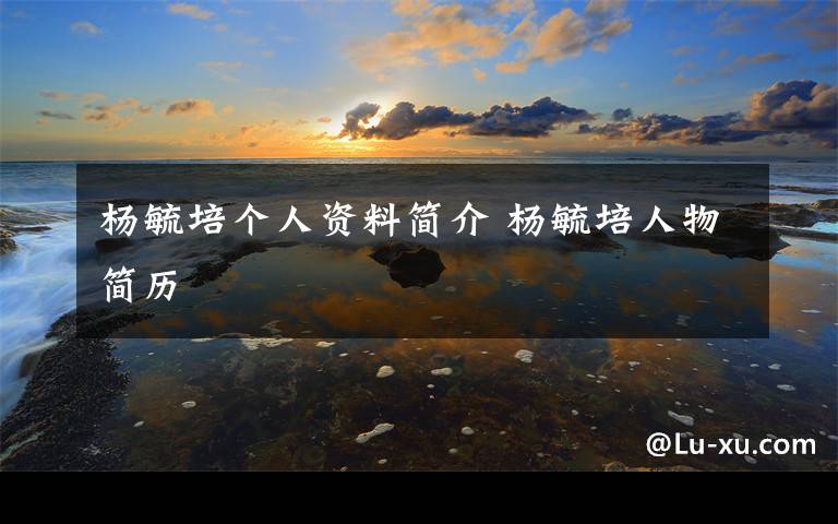 杨毓培个人资料简介 杨毓培人物简历文章配图