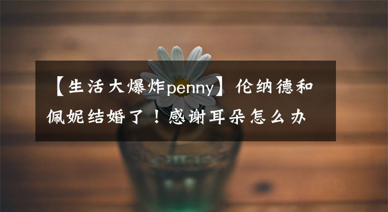 【生活大爆炸penny】伦纳德和佩妮结婚了！感谢耳朵怎么办！