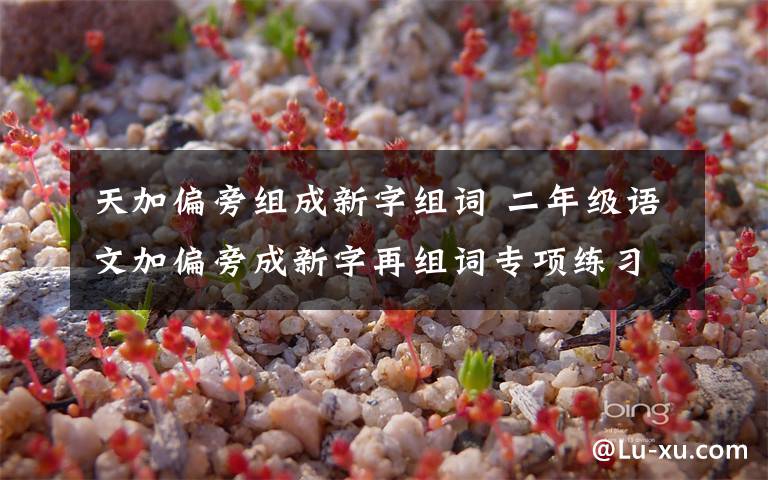 天加偏旁组成新字组词 二年级语文加偏旁成新字再组词专项练习文章配图