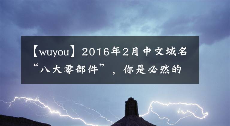 【wuyou】2016年2月中文域名“八大零部件”，你是必然的吗？