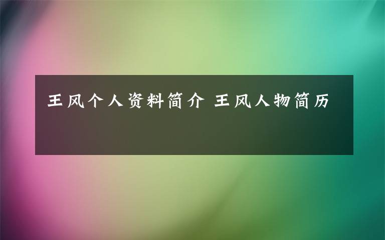 王风个人资料简介 王风人物简历文章配图