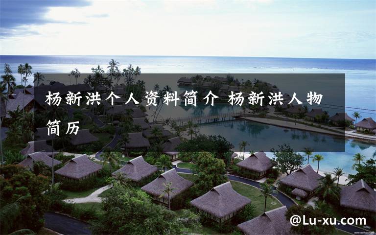 杨新洪个人资料简介 杨新洪人物简历文章配图