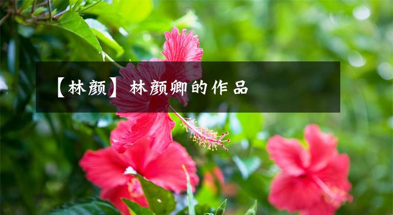 【林颜】林颜卿的作品文章配图
