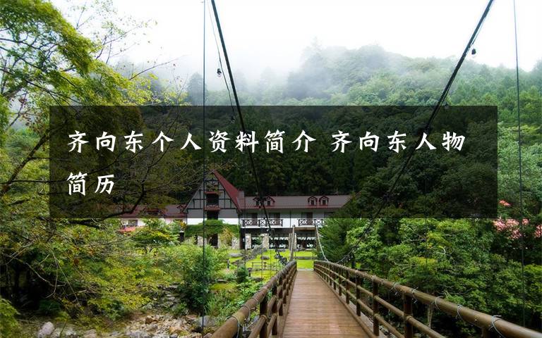 齐向东个人资料简介 齐向东人物简历文章配图