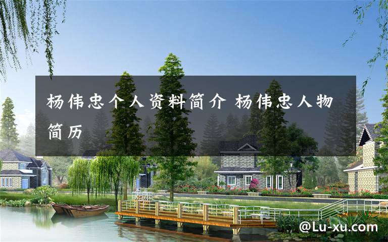 杨伟忠个人资料简介 杨伟忠人物简历文章配图