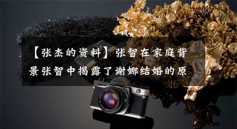 【张杰的资料】张智在家庭背景张智中揭露了谢娜结婚的原因文章配图