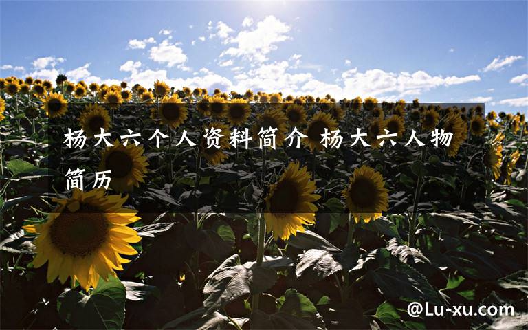 杨大六个人资料简介 杨大六人物简历文章配图