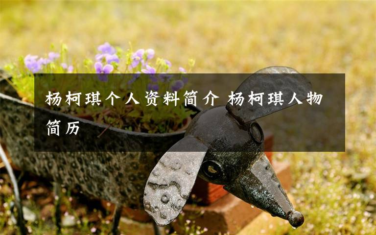 杨柯琪个人资料简介 杨柯琪人物简历文章配图