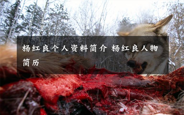 杨红良个人资料简介 杨红良人物简历文章配图
