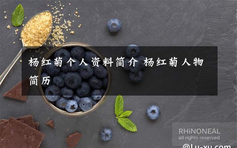 杨红菊个人资料简介 杨红菊人物简历文章配图