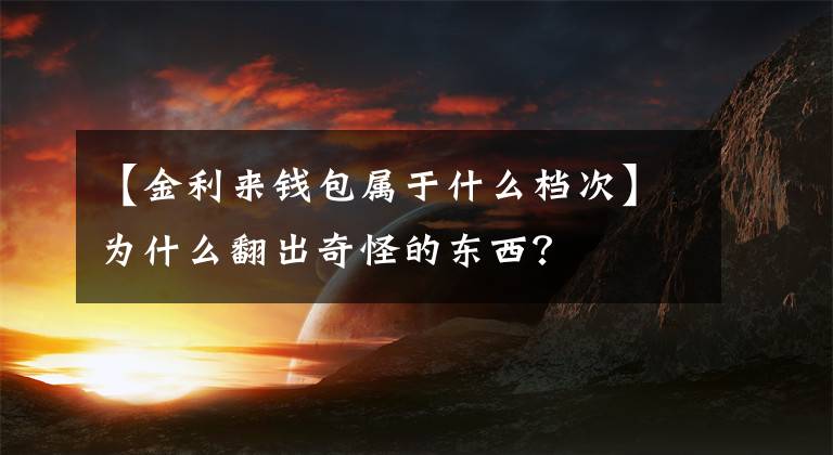 【金利来钱包属于什么档次】为什么翻出奇怪的东西？