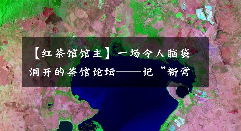 【红茶馆馆主】一场令人脑袋洞开的茶馆论坛——记“新常态下茶馆创新发展”峰会文章配图