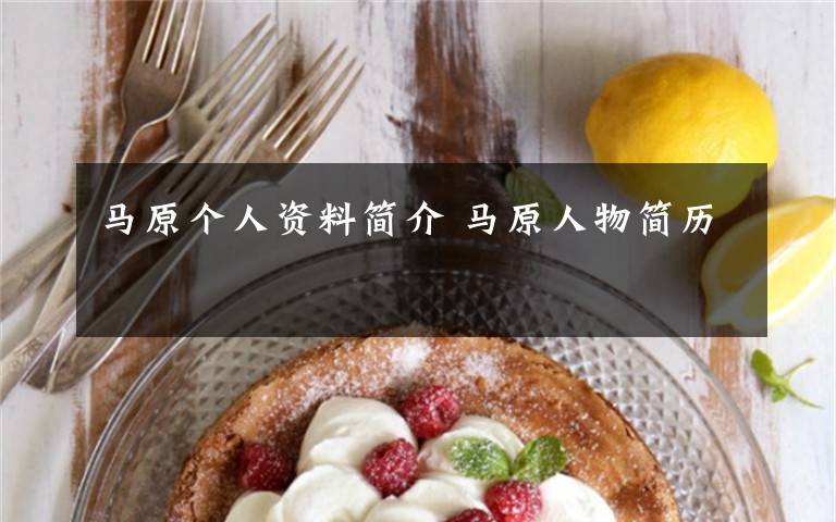 马原个人资料简介 马原人物简历文章配图