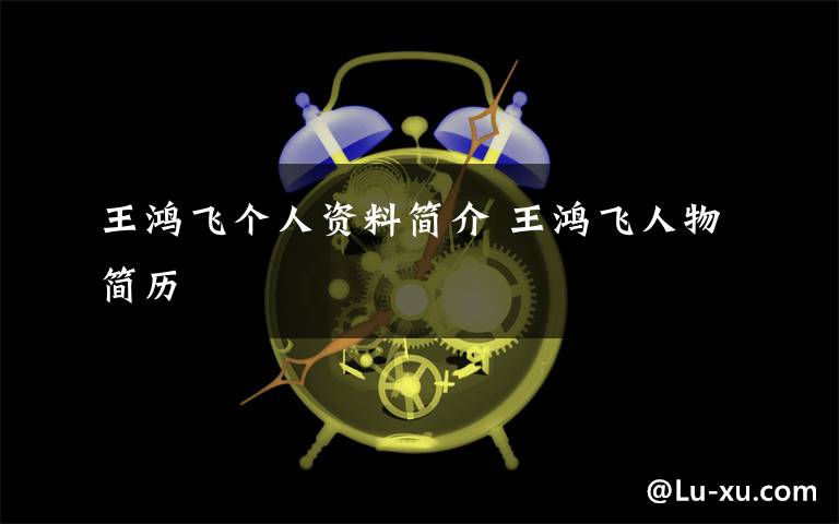王鸿飞个人资料简介 王鸿飞人物简历文章配图