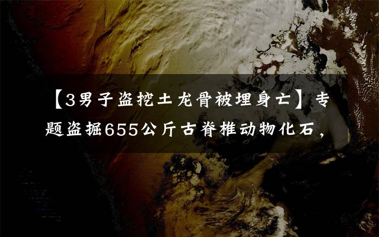 【3男子盗挖土龙骨被埋身亡】专题盗掘655公斤古脊椎动物化石，检察院对刘忠惠等人批准逮捕