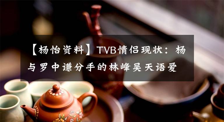 【杨怡资料】TVB情侣现状：杨与罗中谦分手的林峰吴天语爱情