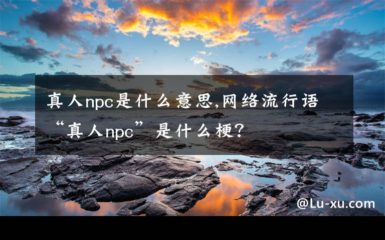 真人npc是什么意思,网络流行语“真人npc”是什么梗？