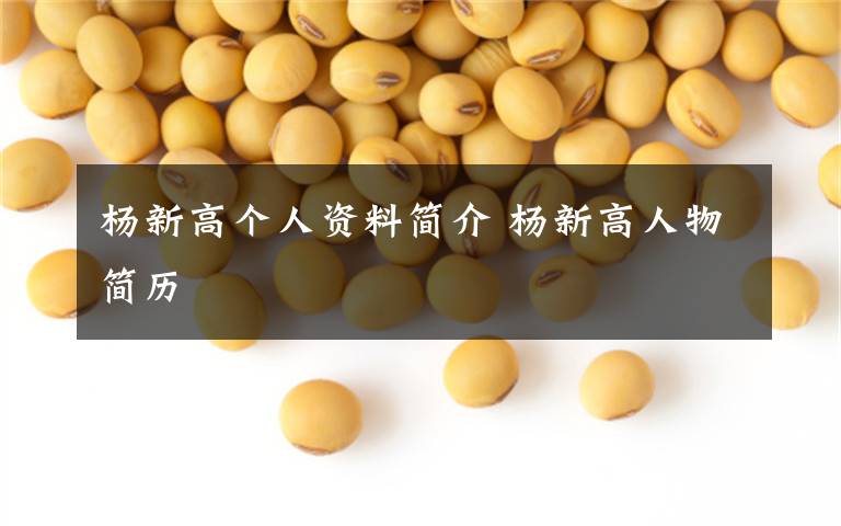 杨新高个人资料简介 杨新高人物简历文章配图