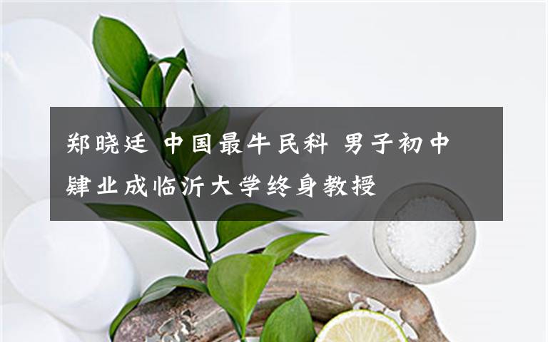 郑晓廷 中国最牛民科 男子初中肄业成临沂大学终身教授文章配图