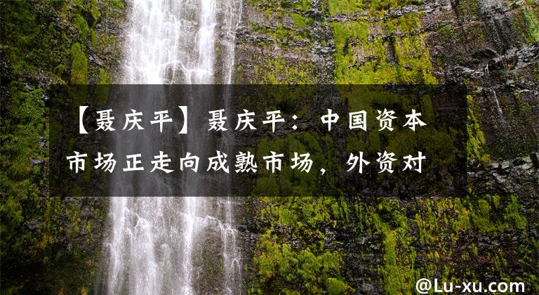 【聂庆平】聂庆平：中国资本市场正走向成熟市场，外资对消费和大金融龙头持股集中度高