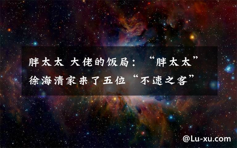 胖太太 大佬的饭局：“胖太太”徐海清家来了五位“不速之客”