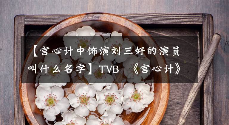 【宫心计中饰演刘三好的演员叫什么名字】TVB  《宫心计》多点，杨毅饰演的刘三善和姚金玲，你更喜欢哪个？