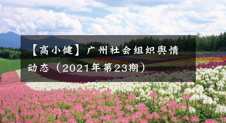 【高小健】广州社会组织舆情动态（2021年第23期）