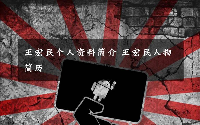 王宏民个人资料简介 王宏民人物简历文章配图