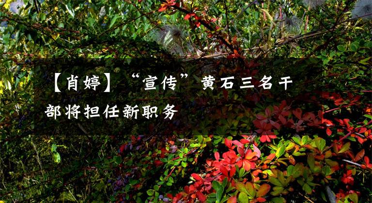 【肖婷】“宣传”黄石三名干部将担任新职务