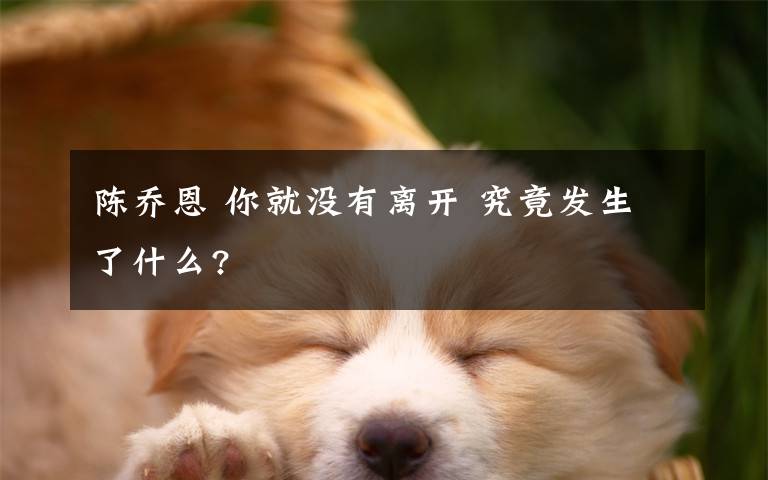 陈乔恩 你就没有离开 究竟发生了什么?