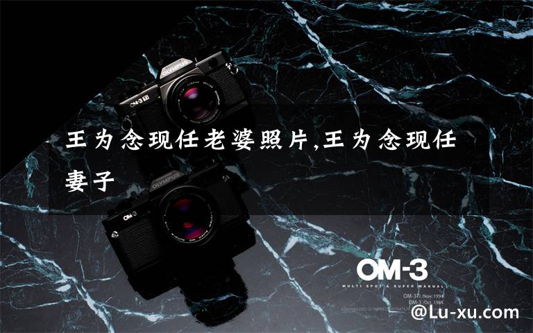 王为念现任老婆照片,王为念现任妻子文章配图