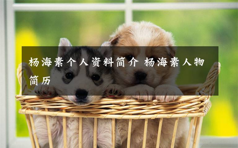 杨海素个人资料简介 杨海素人物简历文章配图