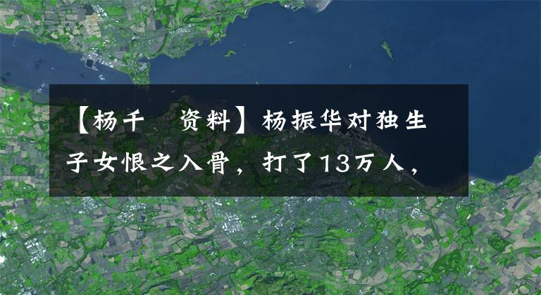 【杨千嬅资料】杨振华对独生子女恨之入骨，打了13万人，送去了国际学校