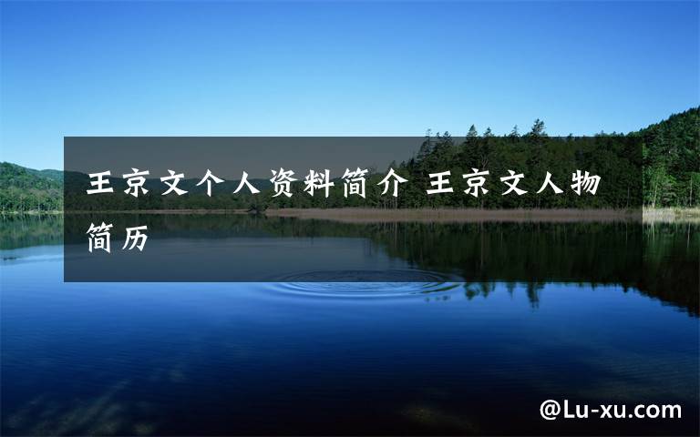 王京文个人资料简介 王京文人物简历文章配图