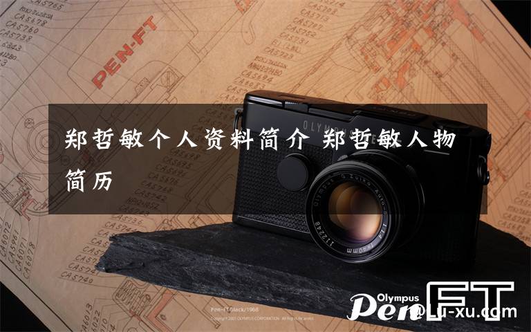 郑哲敏个人资料简介 郑哲敏人物简历文章配图