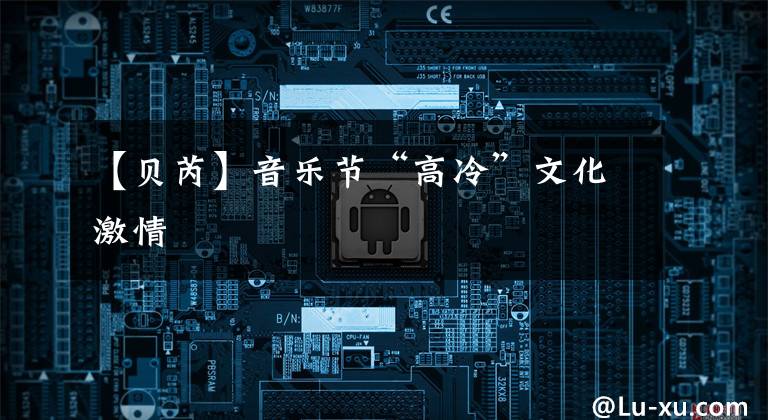 【贝芮】音乐节“高冷”文化激情