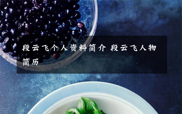 段云飞个人资料简介 段云飞人物简历文章配图