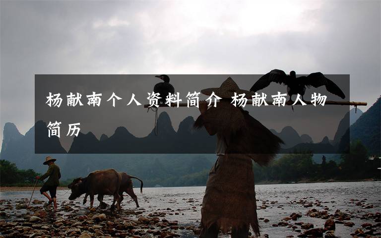 杨献南个人资料简介 杨献南人物简历文章配图