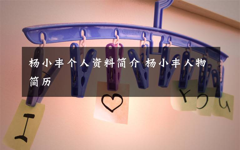 杨小丰个人资料简介 杨小丰人物简历