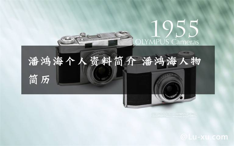 潘鸿海个人资料简介 潘鸿海人物简历文章配图