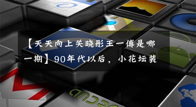 【天天向上关晓彤王一傅是哪一期】90年代以后，小花坛装扮成快速的新晋女神也不同